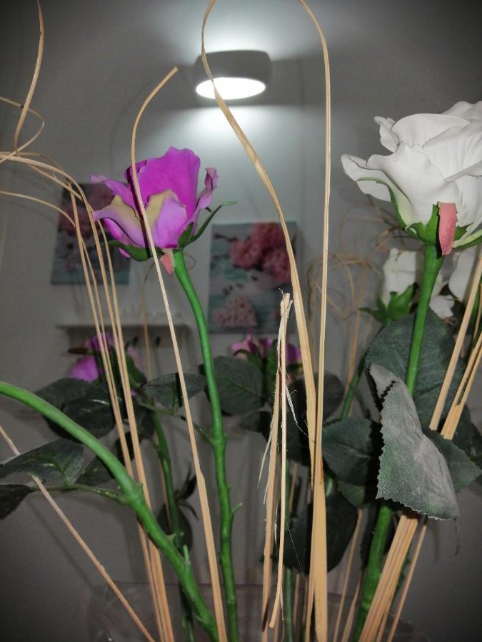 La Casa Di Chiara Apartman Taviano Kültér fotó