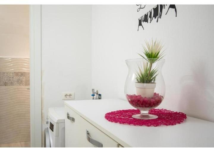 La Casa Di Chiara Apartman Taviano Kültér fotó